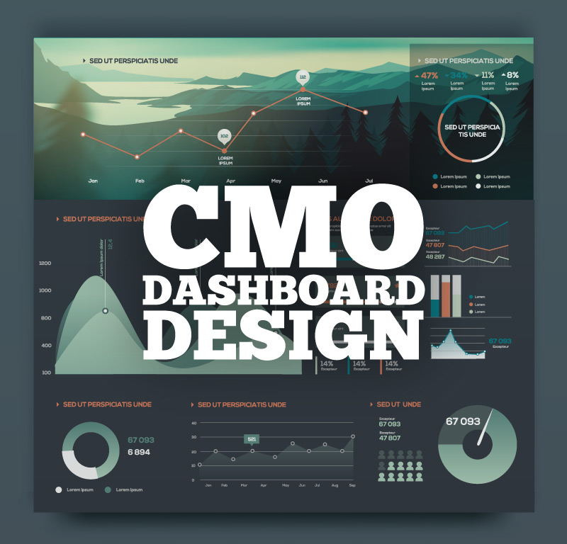 Visualizing Data for the Chief Marketing Officer (CMO) Presentation